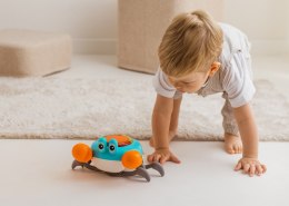 DUMEL DD 30824 Krab Mądrala