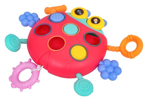 Wielofunkcyjna Biedronka Dla Najmłodszych