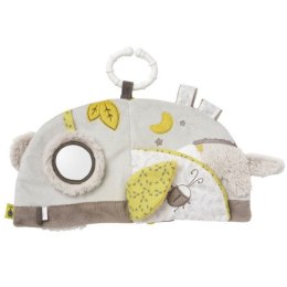 Książeczka edukacyjna koala, z kolekcji: australia FEHN