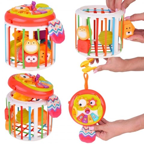 WOOPIE 54634 Interaktywna Kostka elastyczna Dzięcioł