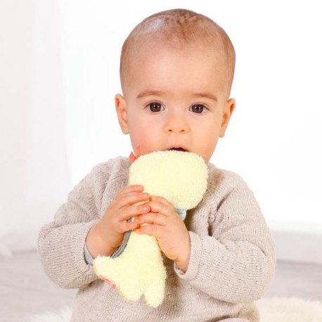 Zabawka do rączki, dinozaur, z kolekcji: wesoły dinozaur FEHN