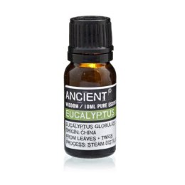 Eukaliptus - olejek eteryczny 10 ml Ancient Wisdom s.r.o.