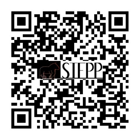 Kolorowanka Welwetowa 47x35 Karuzela