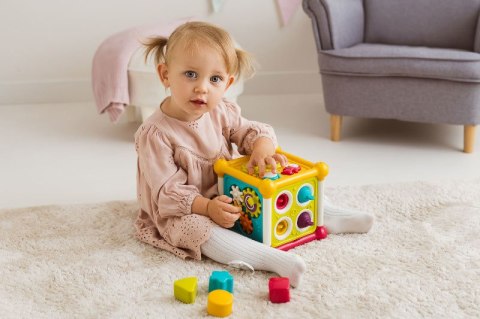 DUMEL DD 30832 Kostka motoryczne niespodzianki