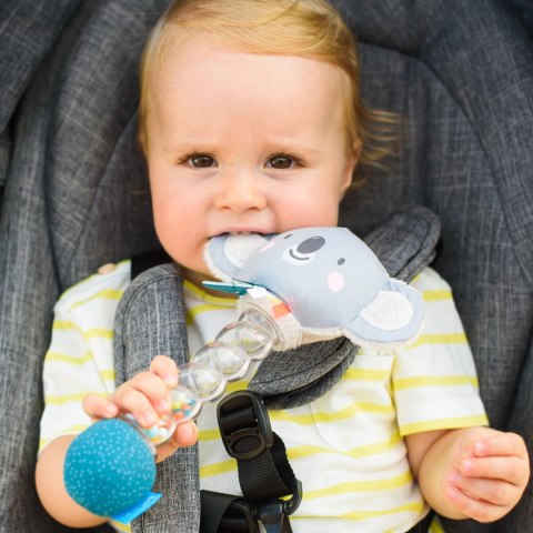 Grzechotka Deszczowa Koala Taf Toys - Sensoryczna Zabawa dla Niemowląt