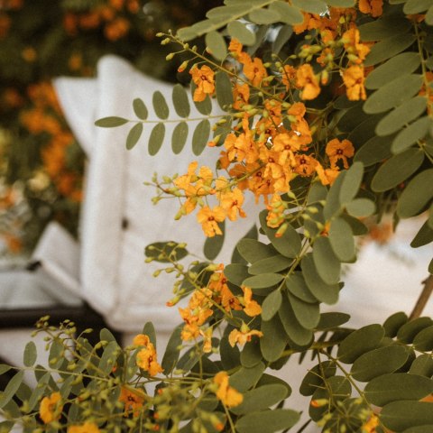 Mast Swiss Gondola Granite - kompatybilna z wózkami typu M4