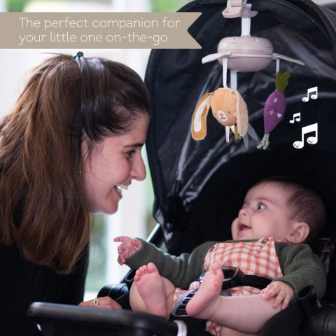 Muzyczna Karuzela "Garden" z Kolekcji Urban Garden - Taf Toys