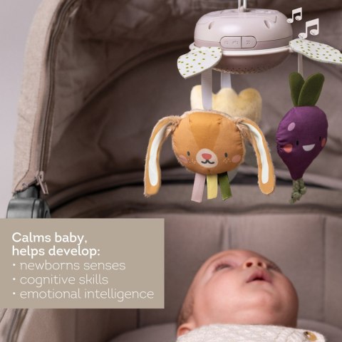 Muzyczna Karuzela "Garden" z Kolekcji Urban Garden - Taf Toys