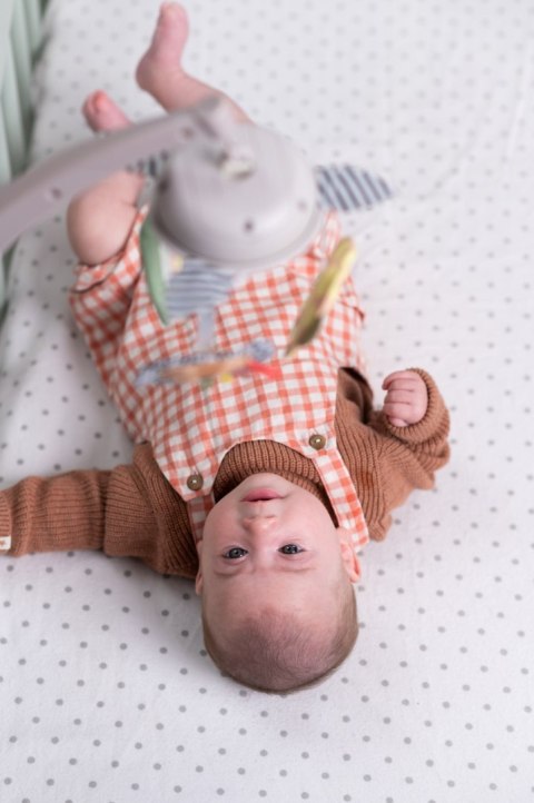 Muzyczna Karuzela „Savannah" z Lwem Harrym - Taf Toys