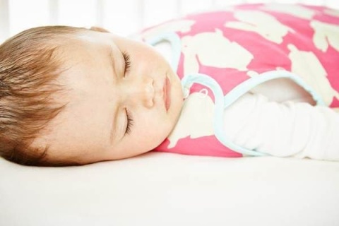 Śpiworek Grobag Anorak Kissing Bunnies - grubość 2,5 tog, Gro Company