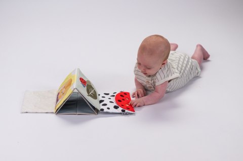 Taf Toys Książeczka Sensoryczna do Zabawy na Brzuszku Króliczek