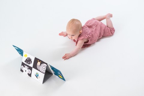 Taf Toys Książeczka z Lusterkiem A Kuku