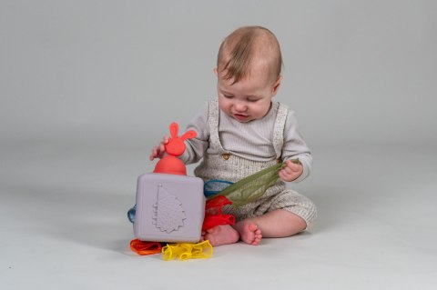 Taf Toys Pojemnik z Wyskakującymi Chusteczkami - Interaktywna Zabawka Sensoryczna