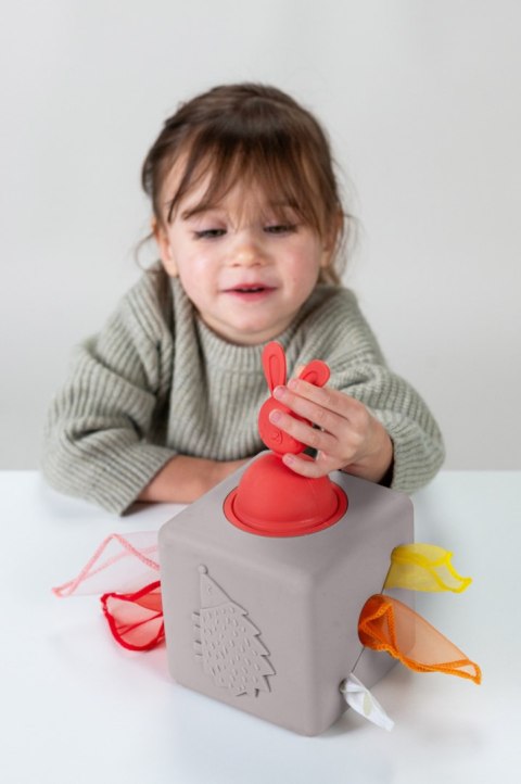 Taf Toys Pojemnik z Wyskakującymi Chusteczkami - Interaktywna Zabawka Sensoryczna