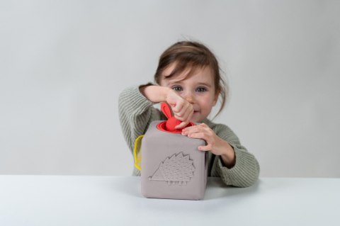 Taf Toys Pojemnik z Wyskakującymi Chusteczkami - Interaktywna Zabawka Sensoryczna