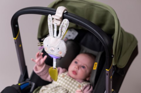 Taf Toys Pozytywka Garden Królik - Zabawka Muzyczna z Melodiami i Białym Szumem