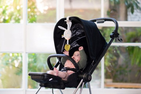 Taf Toys Pozytywka Garden Królik - Zabawka Muzyczna z Melodiami i Białym Szumem