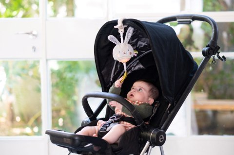 Taf Toys Pozytywka Garden Królik - Zabawka Muzyczna z Melodiami i Białym Szumem