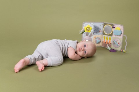 Taf Toys Urban Garden - Plac Zabaw do Łóżeczka z Muzyką i Światłem