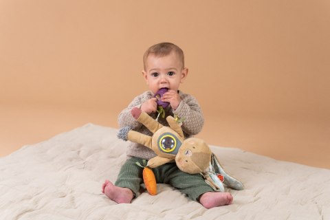Taf Toys Zabawka Aktywna Królik Jenny