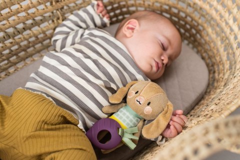 Taf Toys Zawieszka Króliczek Jenny z Gryzakiem - Kolekcja Urban Garden