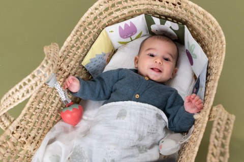 Zestaw na Zewnątrz Taf Toys - Przygoda i Zabawa na Świeżym Powietrzu na zewnątrz