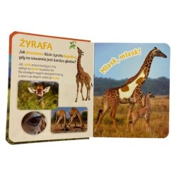 Pogłaszcz zwierzęta świata AWM WYDAWNICTWO