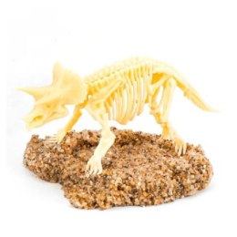 Szkielet dinozaura, foremki, wykopaliska, triceratops, zestaw LEARNING RESOURCES