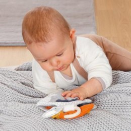 Książeczka edukacyjna na kółku, z kolekcji: natura 2 FEHN