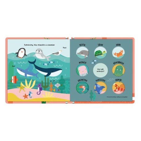 Zwierzęta duże i małe. seria - odwróć i poznaj CS ENTERTAINMENT GROUP