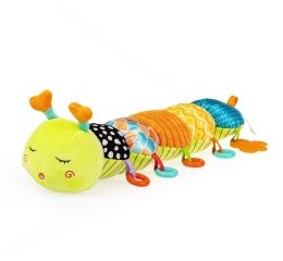 GĄSIENICA TOMEK Z MIARKĄ