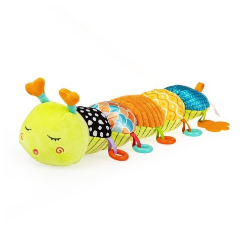 GĄSIENICA TOMEK Z MIARKĄ