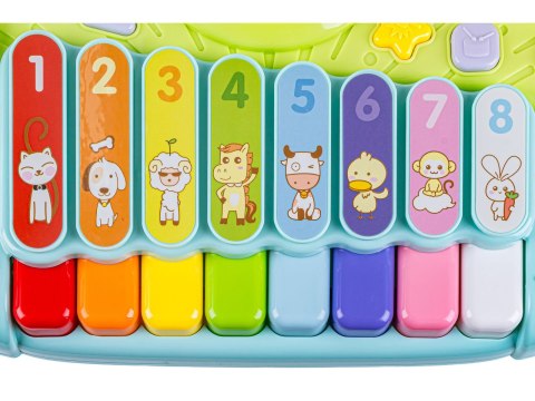 Ksylofon Cymbałki Perkusja Pianinko Dla Dzieci Zabawka Edukacyjna Muzyczna