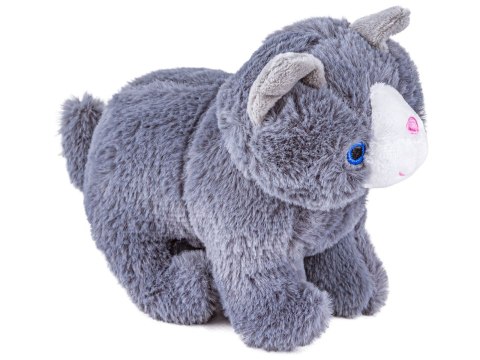 Zestaw Do Pielęgnacji Kota 7el Kot Transporter Plecak Akcesoria Opieka Nad Kotkiem