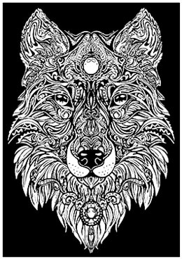 Kolorowanka Welwetowa A4 Lupus