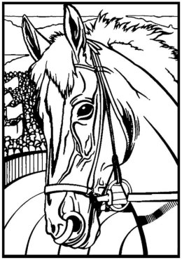 Kolorowanka Welwetowa A4 Koń Profil
