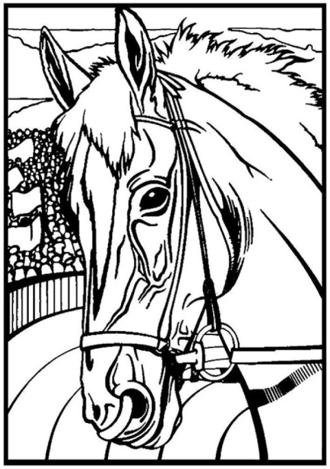 Kolorowanka Welwetowa A4 Koń Profil