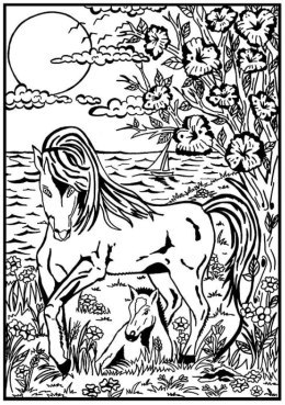 Kolorowanka Welwetowa A4 Konie