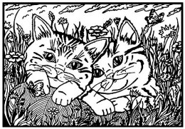 Kolorowanka Welwetowa A4 Koty