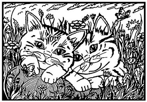 Kolorowanka Welwetowa A4 Koty