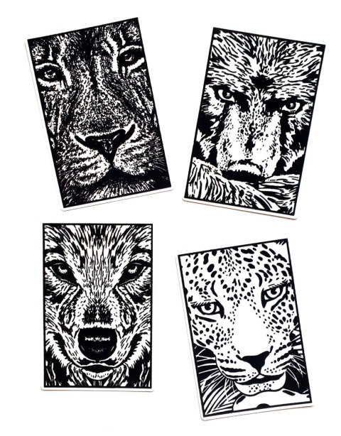 Welwetowy Zestaw na Podróż Drapieżniki