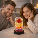 Wieczna Róża Kryształowa w Kopule z Oświetleniem LED z Serduszkiem 14x8cm