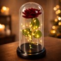 Wieczna Róża w Kopule z Oświetleniem LED Czerwona 21x11cm