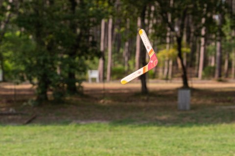 BS Toys, drewniany bumerang