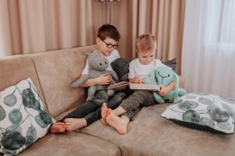 Przytulanka Zając Grey