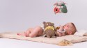Taf Toys Ekskluzywny Zestaw Prezentowy dla Noworodka