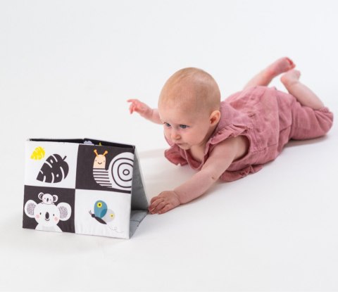 Taf Toys Książeczka z Lusterkiem A Kuku