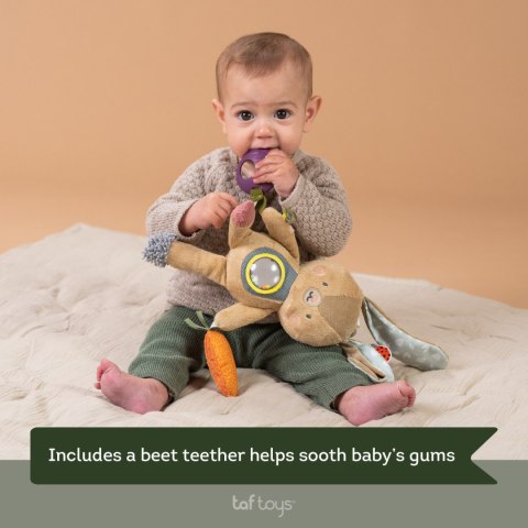 Taf Toys Zabawka Aktywna Królik Jenny