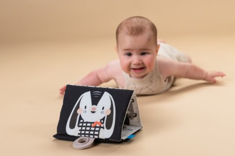 Taf Toys Zestaw Sensoryczny Czarno-Biały dla Noworodków