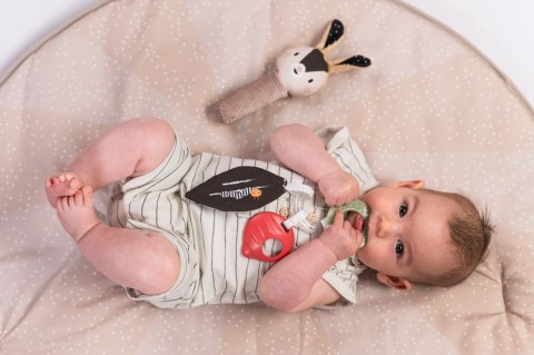 Taf Toys Zestaw Sensoryczny Czarno-Biały dla Noworodków